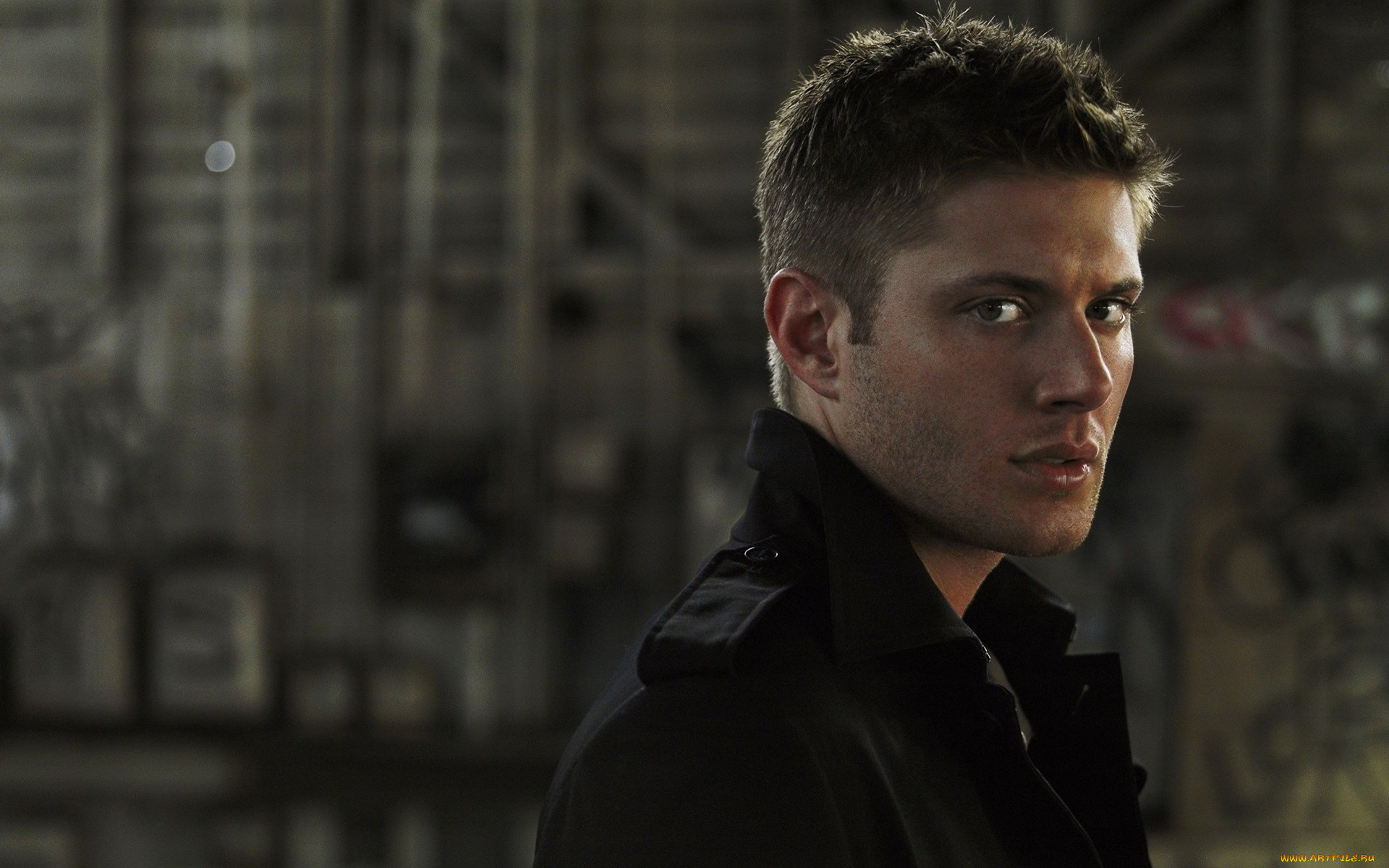 , jensen, ackles, 